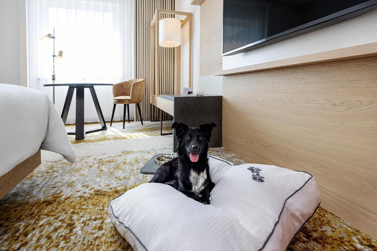 The Westin Grand Frankfurt Hotel Frankfurt am Main Exterior photo A dog in a pet-friendly hotel room